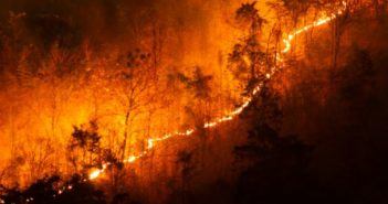 Wildfire